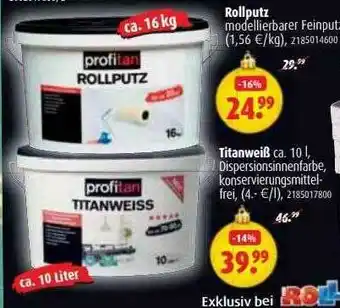 ROLLER Rollputz Titanweiß Angebot