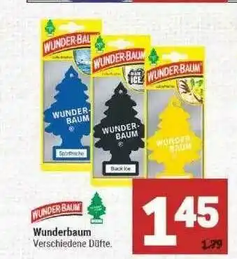 Marktkauf Wunderbaum Angebot