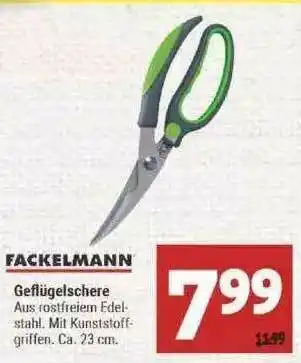 Marktkauf Fackelmann Geflügelschere Angebot