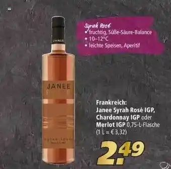 Marktkauf Janee Syrah Rosé Igp, Chardonnay Igp Oder Merlot Igp Angebot