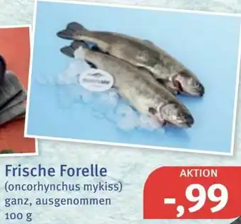 Feneberg Frische Forelle 100g Angebot