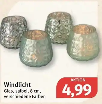 Feneberg Windlicht Angebot