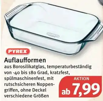 Feneberg Pyrex Auflaufformen Angebot