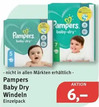 Feneberg Pampers Baby Dry Windeln Angebot