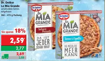 L. STROETMANN GROSSMARKT Dr. Oetker La Mia Grande 360-415g Angebot