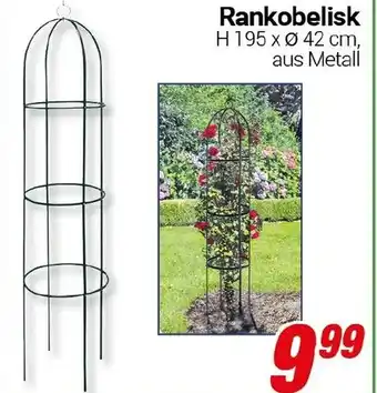 CENTERSHOP Rankobelisk Angebot