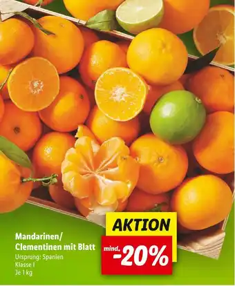 Lidl Mandarinen/clementinen mit blatt Angebot