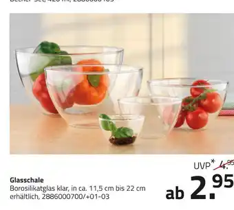 ROLLER Glasschale Angebot