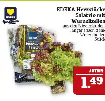 Marktkauf Edeka herzstücke salatrio mit wurzelballen Angebot