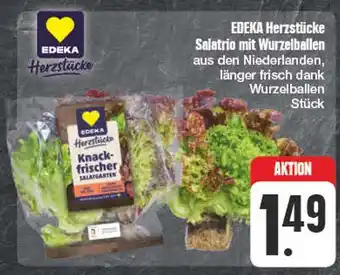 Edeka Edeka herzstücke salatrio mit wurzelballen Angebot
