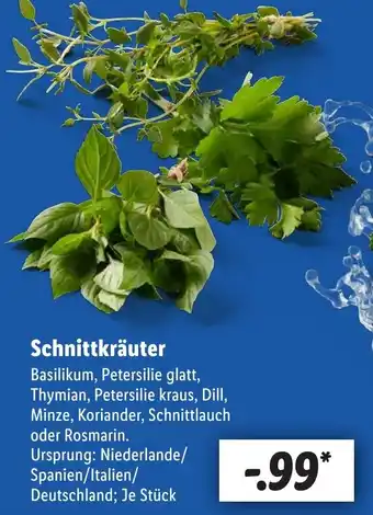 Lidl Schnittkräuter Angebot