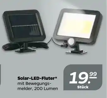 NETTO Solar-led-fluter Angebot