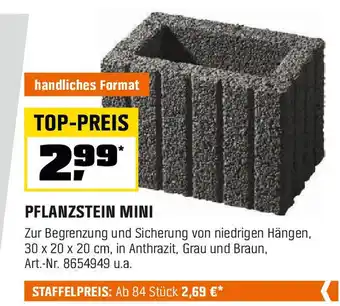 OBI PFLANZSTEIN MINI Angebot