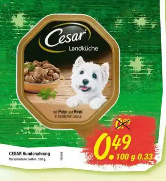 Floraland Cesar Hundenahrung Angebot