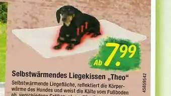 Floraland Selbstwärmendes Liegekissen „theo“ Angebot