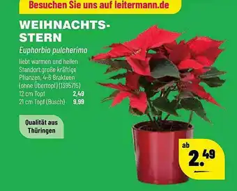 Leitermann Baumarkt Weihnacht Stern Angebot