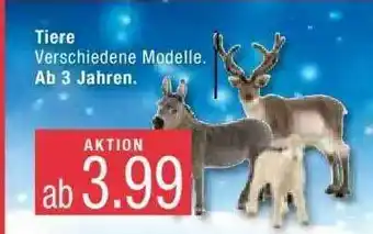 Marktkauf Tiere Angebot