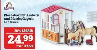 Marktkauf Horse Club Pferdebox Mit Arabern Und Pferdepflegerin Angebot