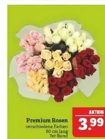 Marktkauf Premium Rosen Angebot