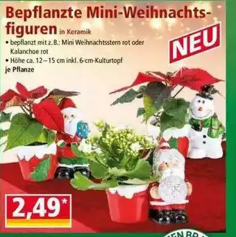 Norma Bepflanzte Mini-weihnachtsfiguren Angebot