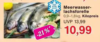 Jawoll Meerwasser- lachsforelle Angebot