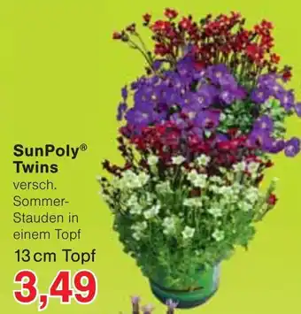 Jawoll SunPoly Twins Angebot