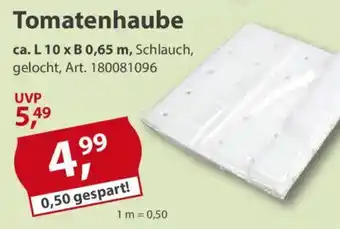 Sonderpreis Baumarkt Tomatenhaube Angebot