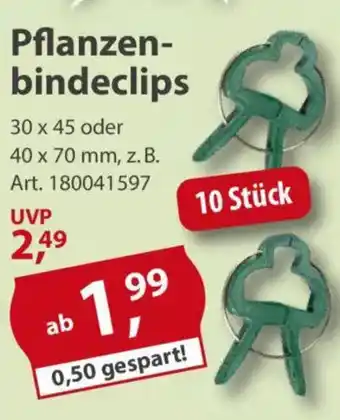 Sonderpreis Baumarkt Pflanzenbindeclips Angebot