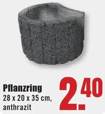 B1 Discount Baumarkt Pflanzring Angebot