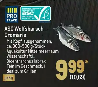 METRO Pro trace asc wolfsbarsch Angebot