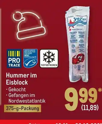 METRO Hummer im eisblock Angebot