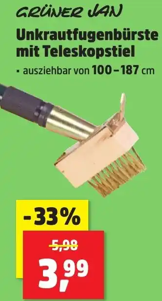 Thomas Philipps GRÜNER JAN Unkrautfugenbürste mit Teleskopstiel Angebot