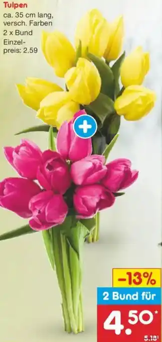 Netto Marken-Discount Tulpen Angebot