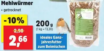 Thomas Philipps Mehlwürmer Angebot