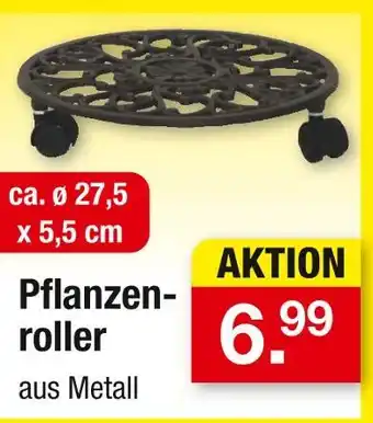 Zimmermann Pflanzenroller Angebot