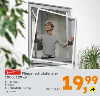 Globus Baumarkt TrendLine Fliegenschutzfenster Angebot