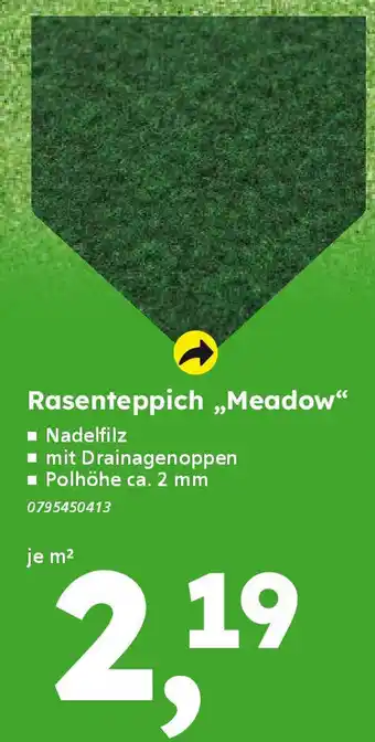 Globus Baumarkt Rasenteppich „Meadow“ Angebot