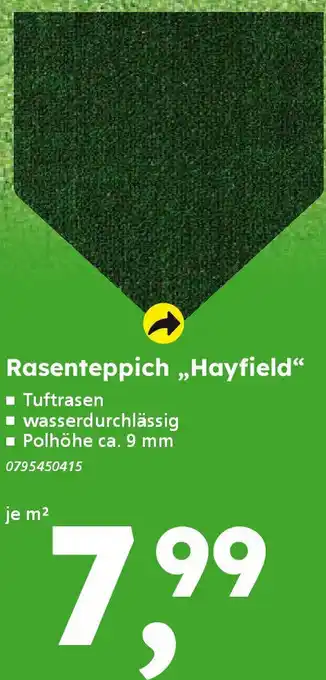 Globus Baumarkt Rasenteppich „Hayfield“ Angebot