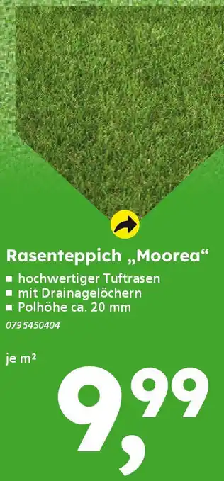 Globus Baumarkt Rasenteppich „Moorea" Angebot