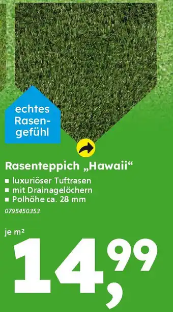 Globus Baumarkt Rasenteppich „Hawaii“ Angebot
