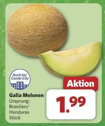 Combi Galia melonen Angebot