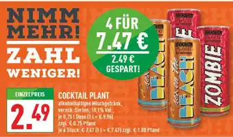 Marktkauf Cocktail plant sex on the beach oder zombie Angebot