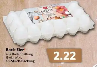 Combi Back Eier Angebot