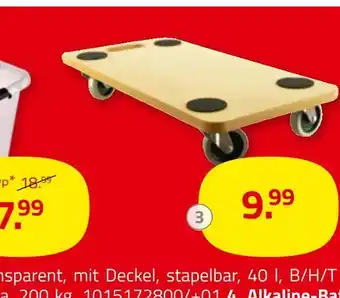 ROLLER Transportrollbrett Angebot