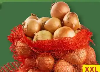 Aldi Nord Zwiebeln XXL Angebot