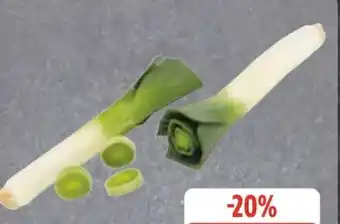 Edeka Porree Angebot