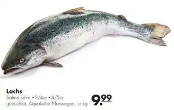 Handelshof Lachs Angebot