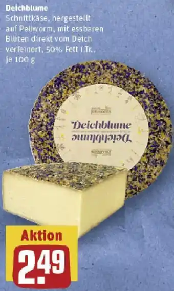 REWE Deichblume Angebot