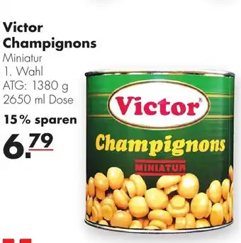 Handelshof Victor Champignons 2650 ml Angebot