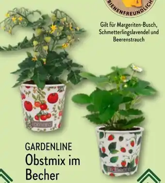 Aldi Nord Gardenline Obstmix Angebot